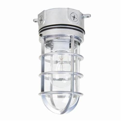 SUNLITE VT100 vaporproof wall mount fixture metalic finish with clear glass