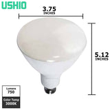 Ushio - 1003855 - BulbAmerica