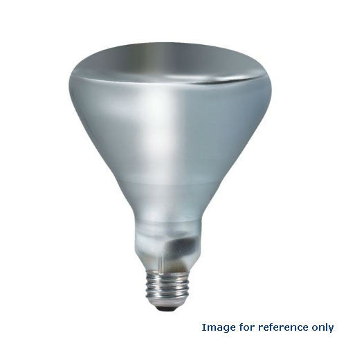 PHILIPS 250W 120V BR40 SP Incandescent Light Bulb 202051