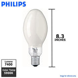 Philips - 140905 - BulbAmerica