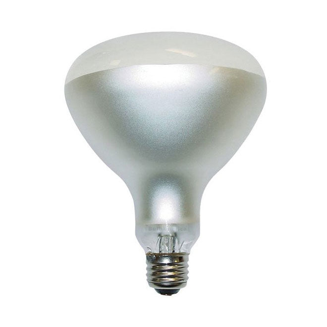 Philips 500w 130v R40 FL Frosted Reflector Incandescent Light Bulb