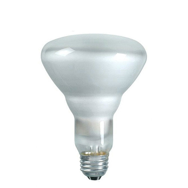Sylvania 75w 130v BR30 E26 2850k Incandescent Light Bulb