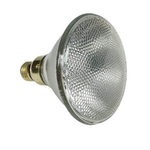 GE 45w PAR38 FL25XL-OD 120v Light Bulb