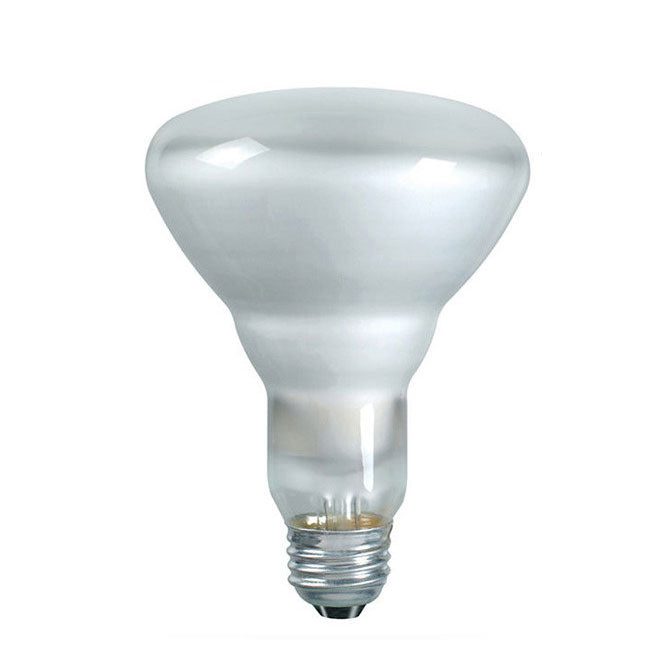 Philips 75w 120v BR30 Frosted FL55 E26 Silicone Coated Reflector Light Bulb
