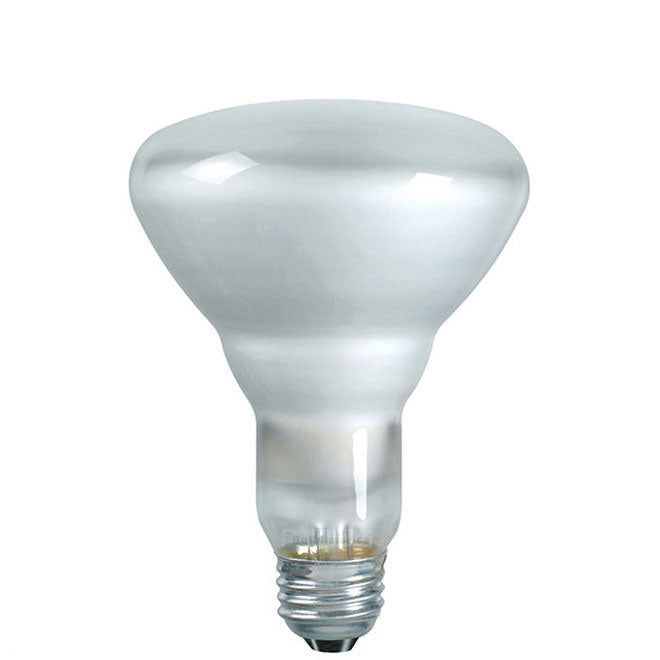 Philips 65w 120v BR30 Frosted E26 Reflector Flood Incandescent Light Bulb