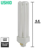 Ushio - 3000536 - BulbAmerica