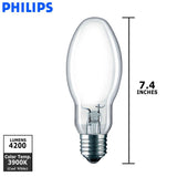 Philips - 337139 - BulbAmerica