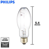 Philips - 419523 - BulbAmerica