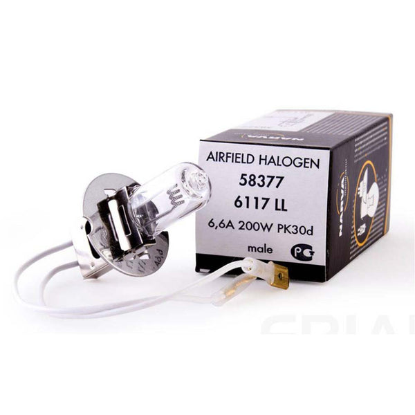 58377_101_grande.jpg?v=1712862869