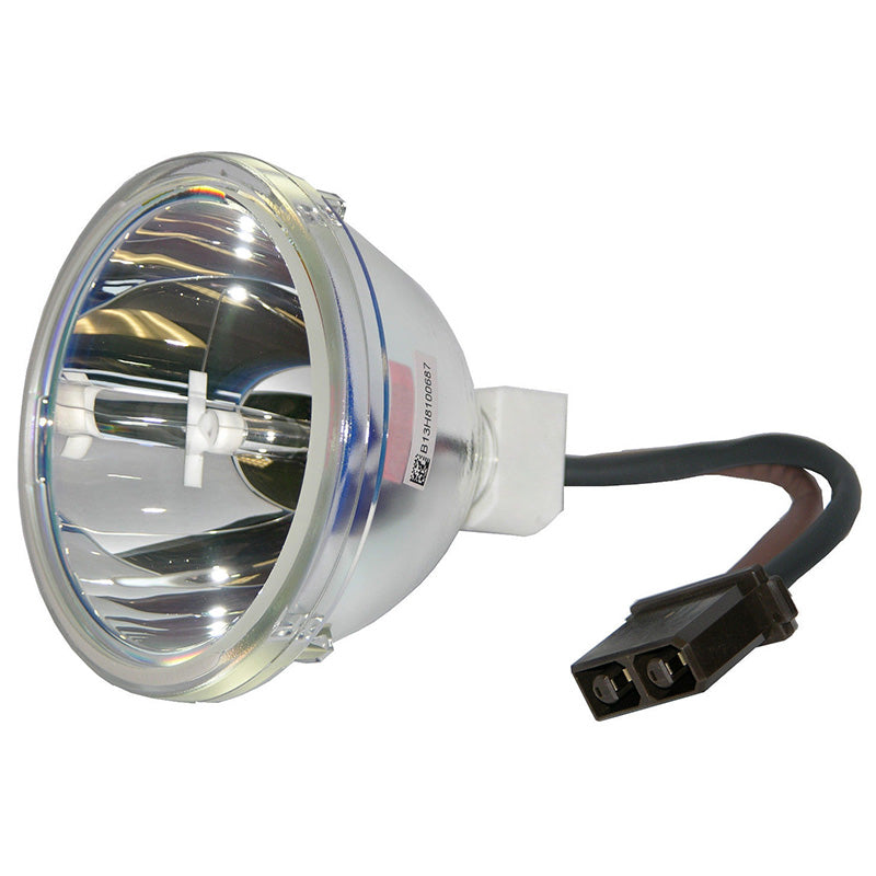 Vivitek RP42GD51 Projector Bulb Replacement