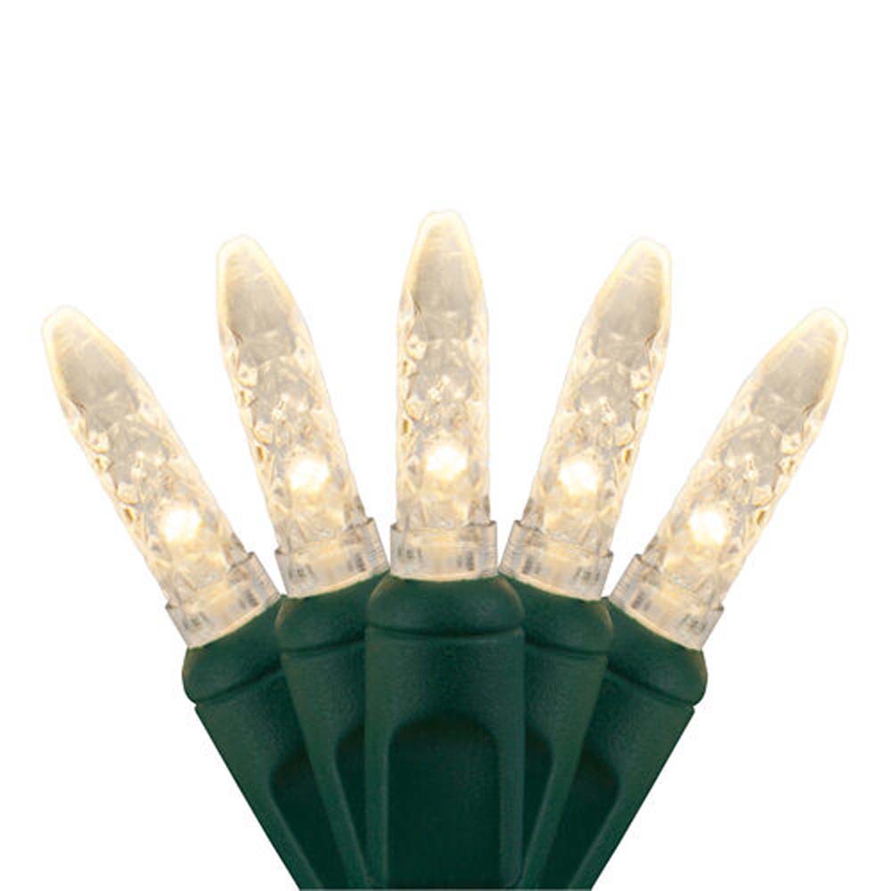 70 Warm White M5 LED Lights, Green Wire, 4" Spacing