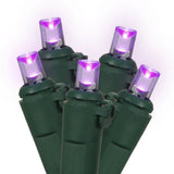 120 Purple Wide Angle Net LED Lights 4Ft. x6Ft. Green Wire Christmas set