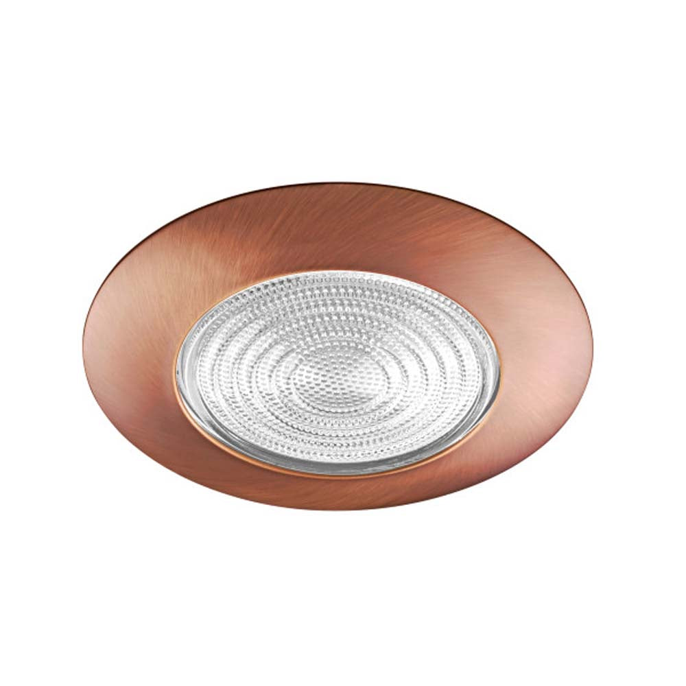 6 in. Bronze Recessed Shower Trim with Glass Fresnel Lens