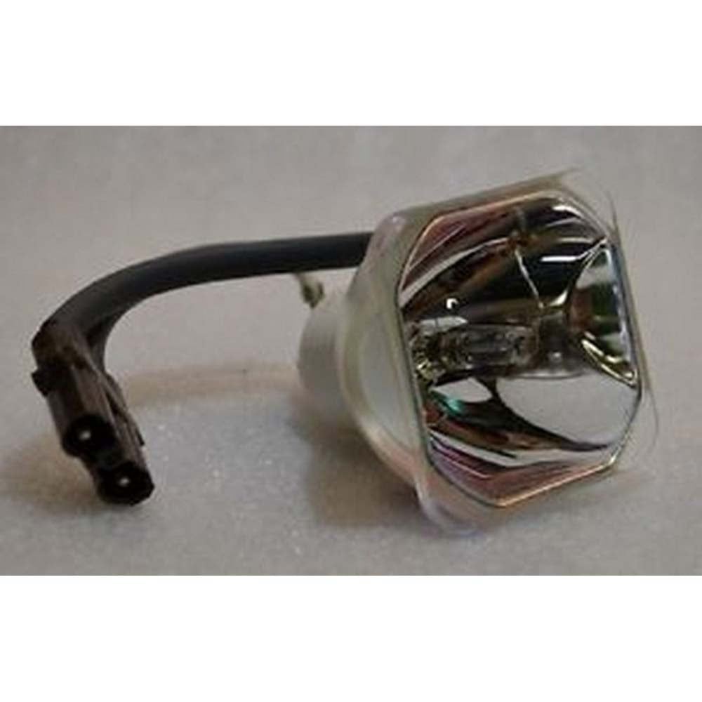 Eiki EX-16025 Assembly Lamp with Quality Projector Bulb Inside
