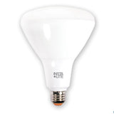 InstaLite 11W BR30 Dimmable LED 2700K Light Bulb