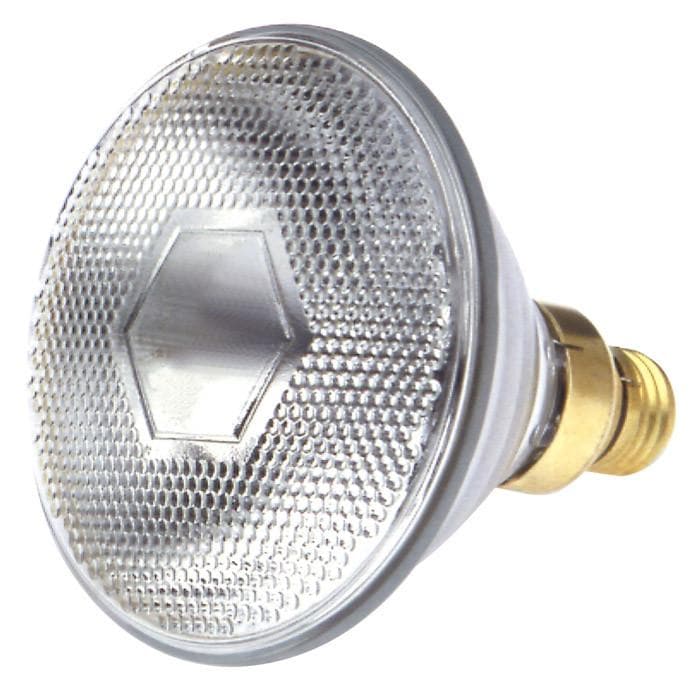 Satco S4953 65W 130V PAR38 Clear E26 Medium Skirted Incandescent light bulb