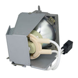 Optoma HD29 Darbee Projector Lamp with Original OEM Bulb Inside_2