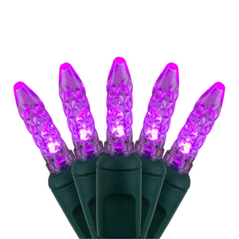 70 Purple M5 LED Lights, Green Wire, 4" Spacing