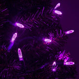 70 Purple M5 LED Lights, Green Wire, 4" Spacing_3