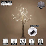 Wintergreen Lighting - WG-79892 - BulbAmerica