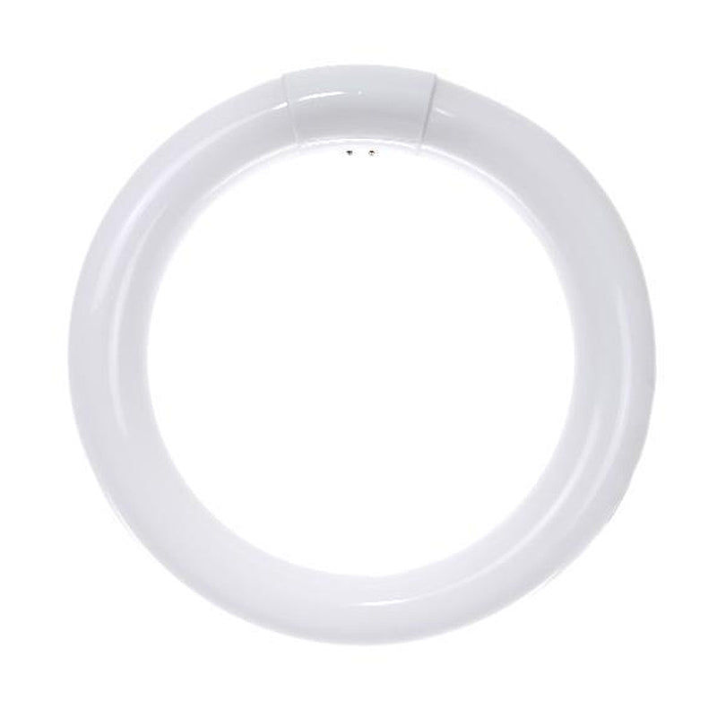 SUNLITE FC8T9/CW 22W T9 4100k Cool White Circline Fluorescent Bulb