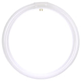 SUNLITE FC12T9/DL 32W 12 inch T9 Daylight Circline 4-Pin Light Bulb