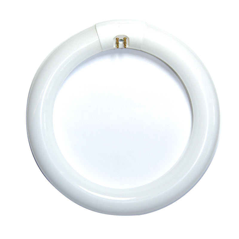 Satco S6500 FC8T9 22w T9 8-in 3000K Soft White G10Q Circline Fluorescent Bulb