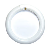 Satco S6500 FC8T9 22w T9 8-in 3000K Soft White G10Q Circline Fluorescent Bulb