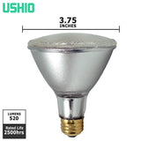 Ushio - 1003844*15 - BulbAmerica