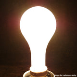 OSRAM 500W 120V EBV PS25 Super Photoflood Incandescent Light Bulb - BulbAmerica