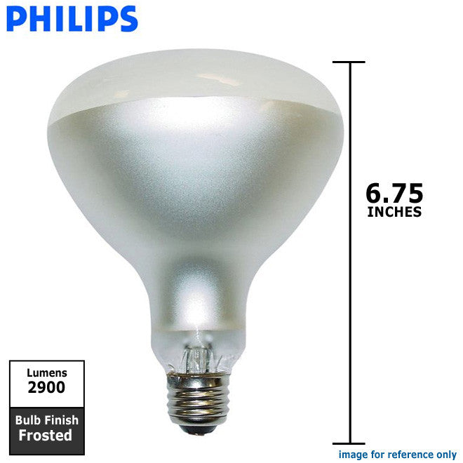 Philips 300w 12v R40 E26 Frosted Swimpool Underwater Incandescent Light Bulb