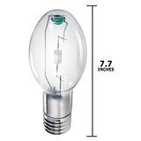 Philips - 154930 - BulbAmerica