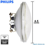 Philips 11w 12v PAR36 FL30 3000k Clear Halogen Light Bulb