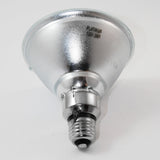 Platinum - 16729-P - BulbAmerica