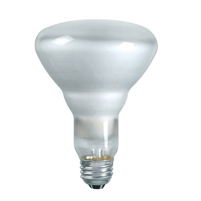 Philips 45w 120v BR30 Frosted E26 FL 2600k DuraMax Incandescent Reflector Light Bulb