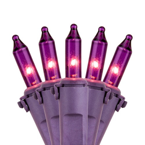 50 Purple Passion Mini Lights, Lamp Lock, 6" Spacing