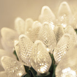 Wintergreen Lighting - WG-20343 - BulbAmerica