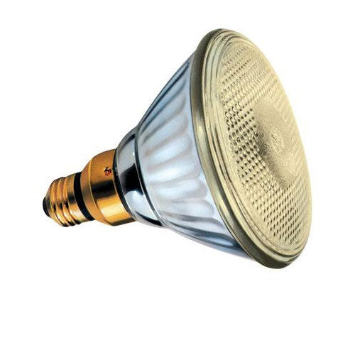GE 85w PAR38 FL BG 120v Light Bulb