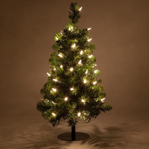 2 Trees - 2' Winchester Fir Walkway Tree, Warm White LED Lights