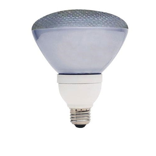 GE 26w PAR38 FLE26 Light Bulb