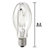 Philips - 232520 - BulbAmerica