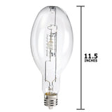 Philips - 232595 - BulbAmerica