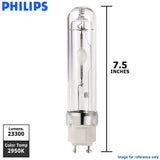 Philips - 238063 - BulbAmerica