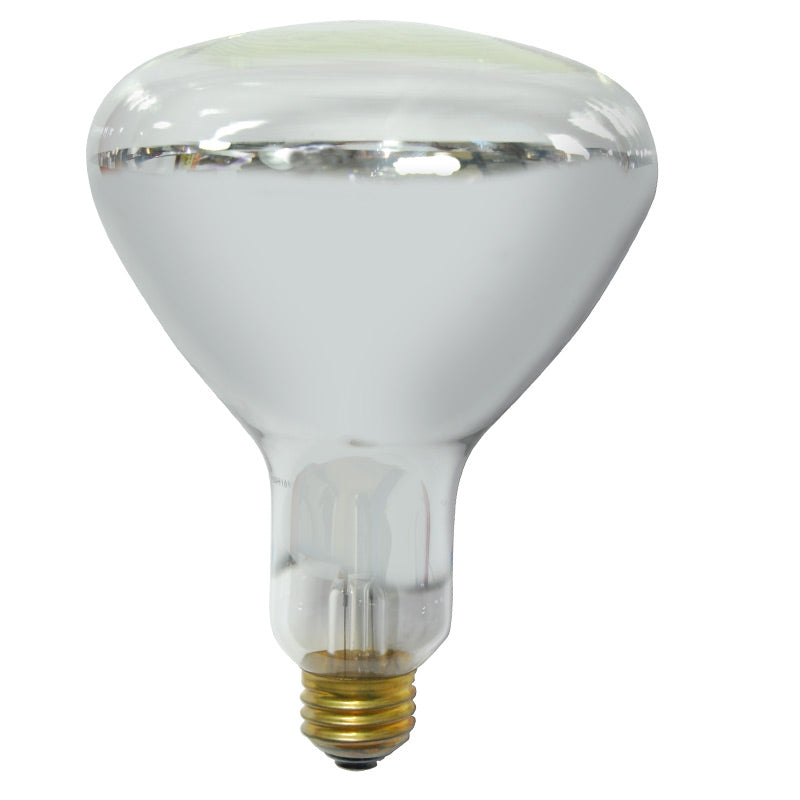 GE 250W R40 120V Soft White Floodlight Heat Lamp