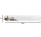 Philips - 262691 - BulbAmerica