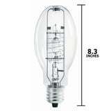 Philips - 281246 - BulbAmerica