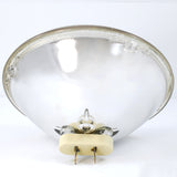 PLATINUM 300w 120v PAR56 WFL Par Can Bulb - BulbAmerica