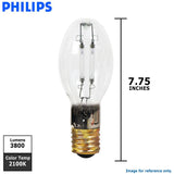 Philips - 354670 - BulbAmerica