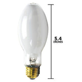 Philips - 360594 - BulbAmerica