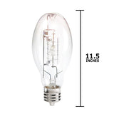 Philips - 408641 - BulbAmerica